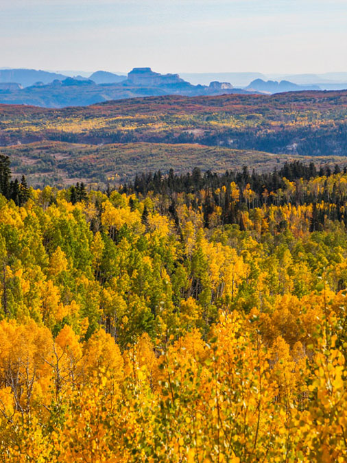 /Cedar%20Mountain%20Fall%20Tour