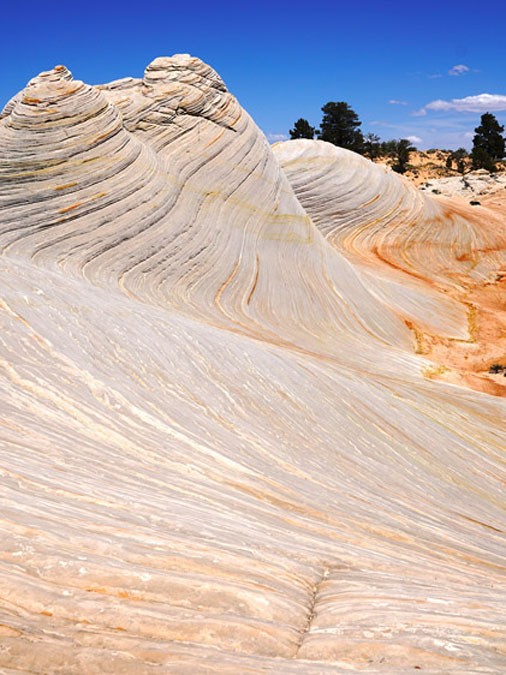 /White%20Wave%20Tour