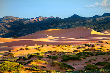 Coral Pink Sand Dunes Guided Tour