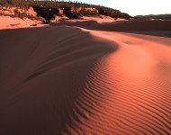 coral-dunes-wide-Elisabeth-Insta